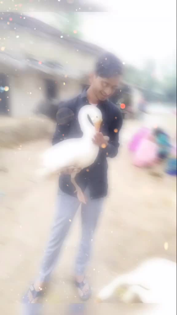 @Rafeek Ali