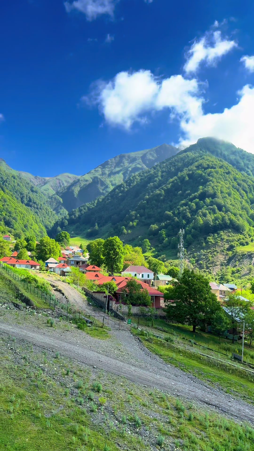 @𝑺.🇦🇿