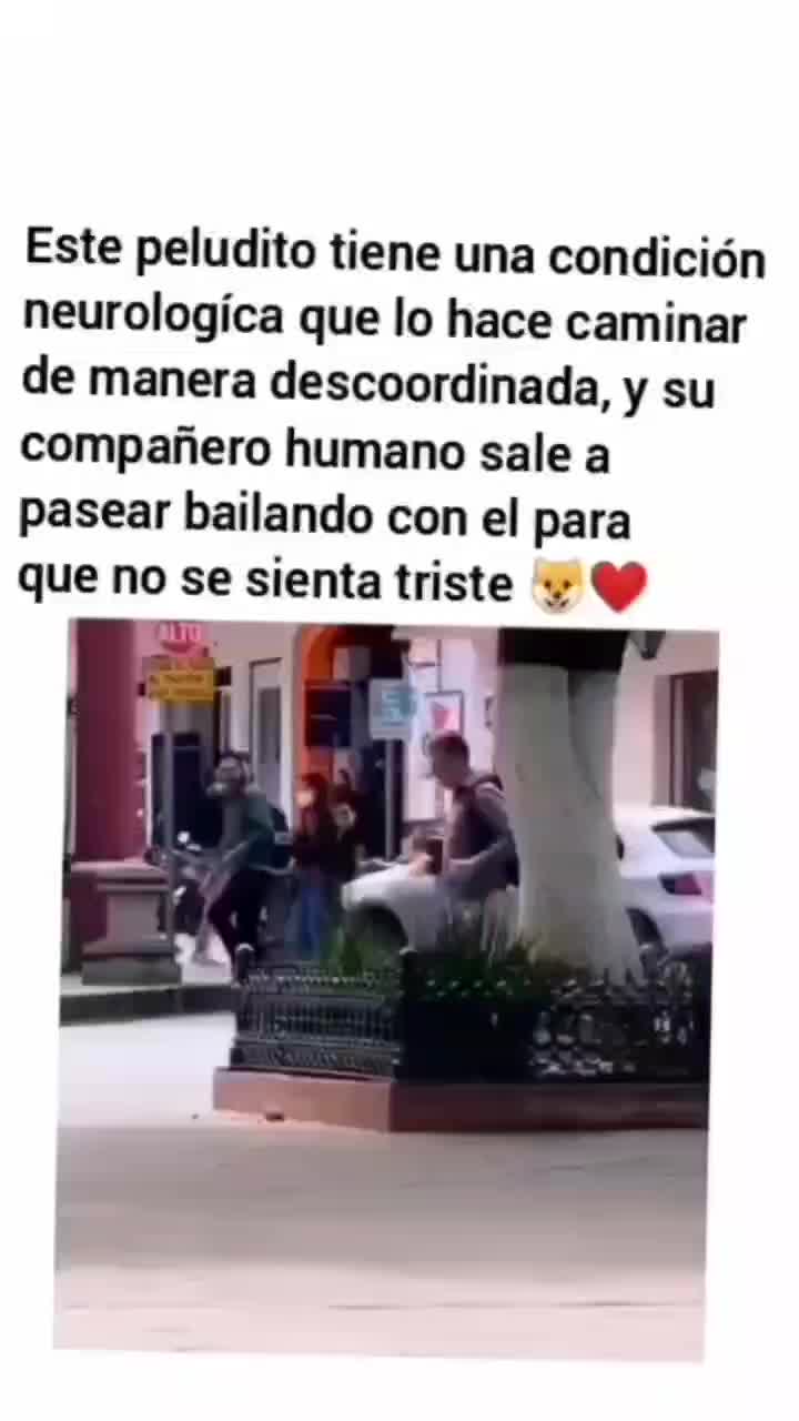 @𝐋𝐚𝐮𝐫𝐚 𝐀𝐫𝐯𝐢𝐳𝐮