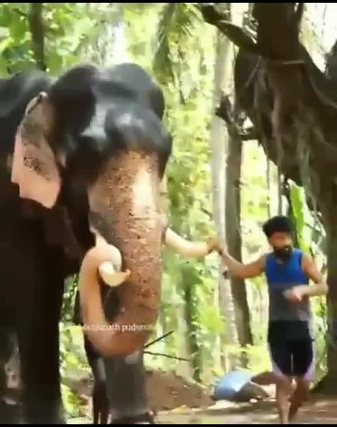 @Vaisakh M