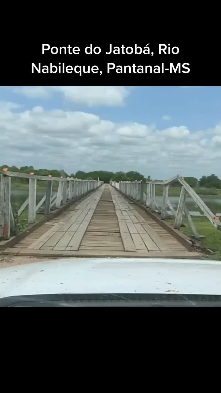 @Pantanal Sul-Matogrossense