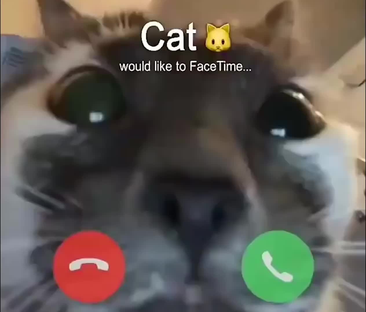 @Derpyoso