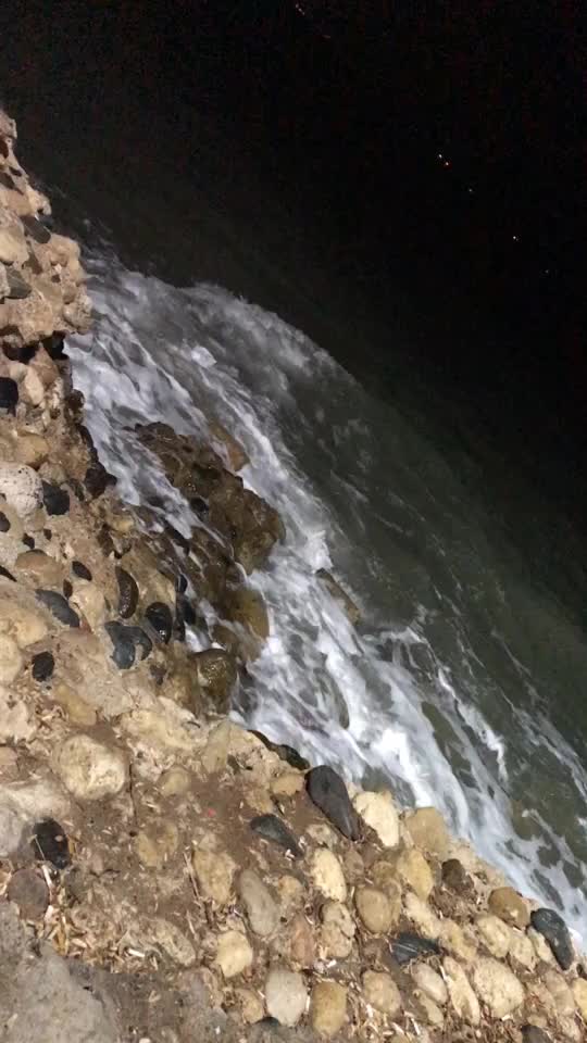 @xzxlan