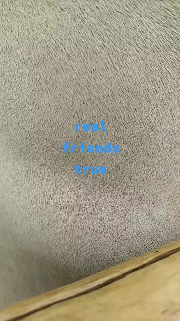 @user1119298562207