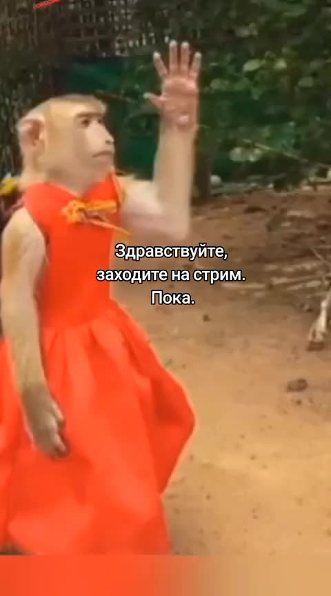 @что тебе нужно сдесь, леди?