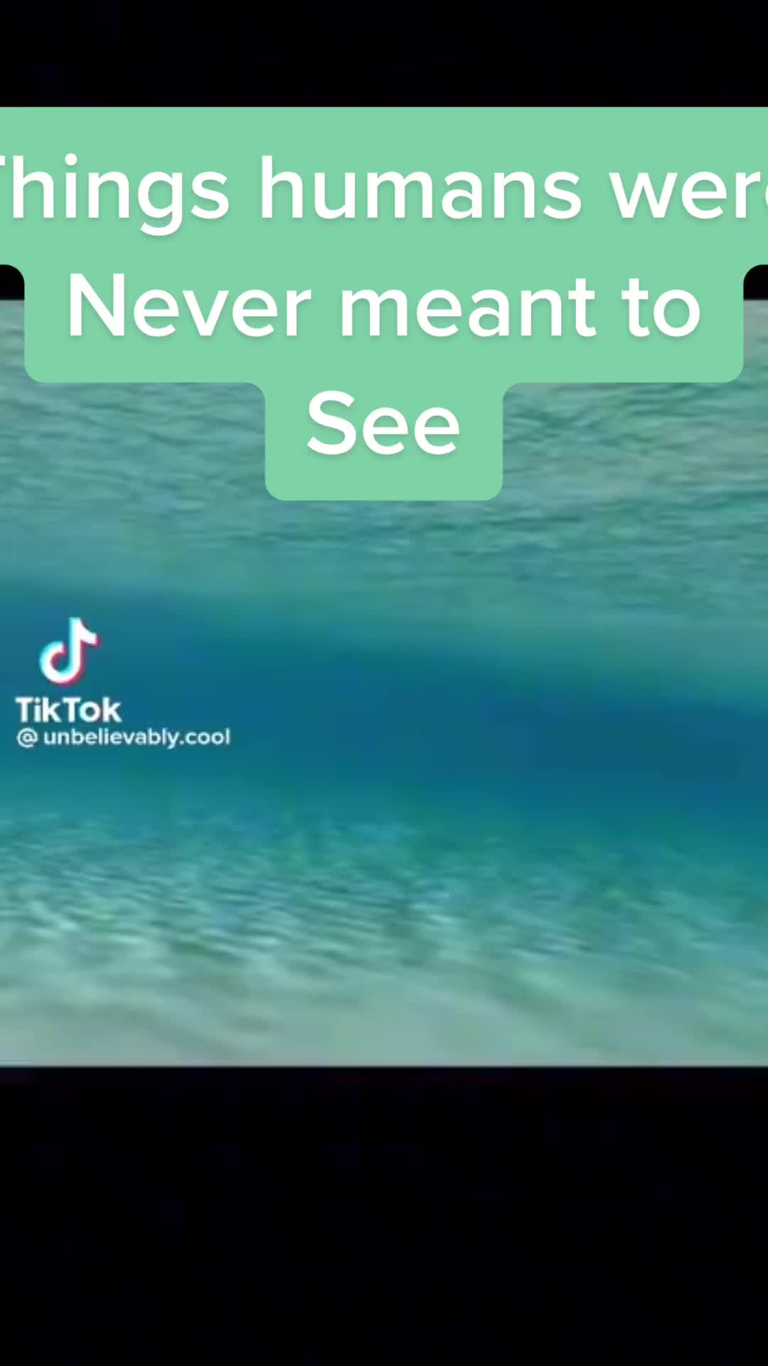 @Didi