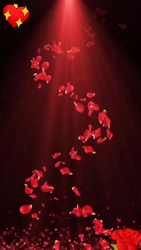 @@user1234585