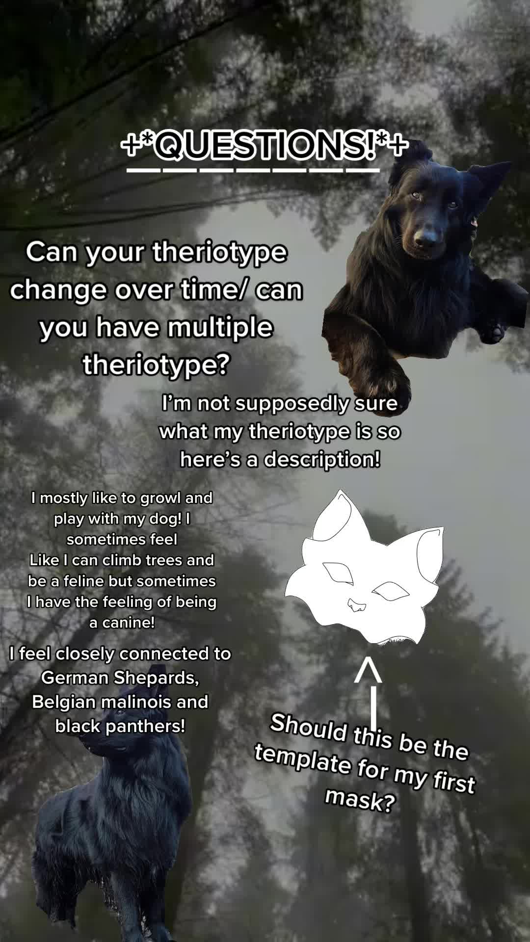 @｡･:*˚:✧｡𝗞𝗜𝗔𝗥𝗘𝗬𝗔