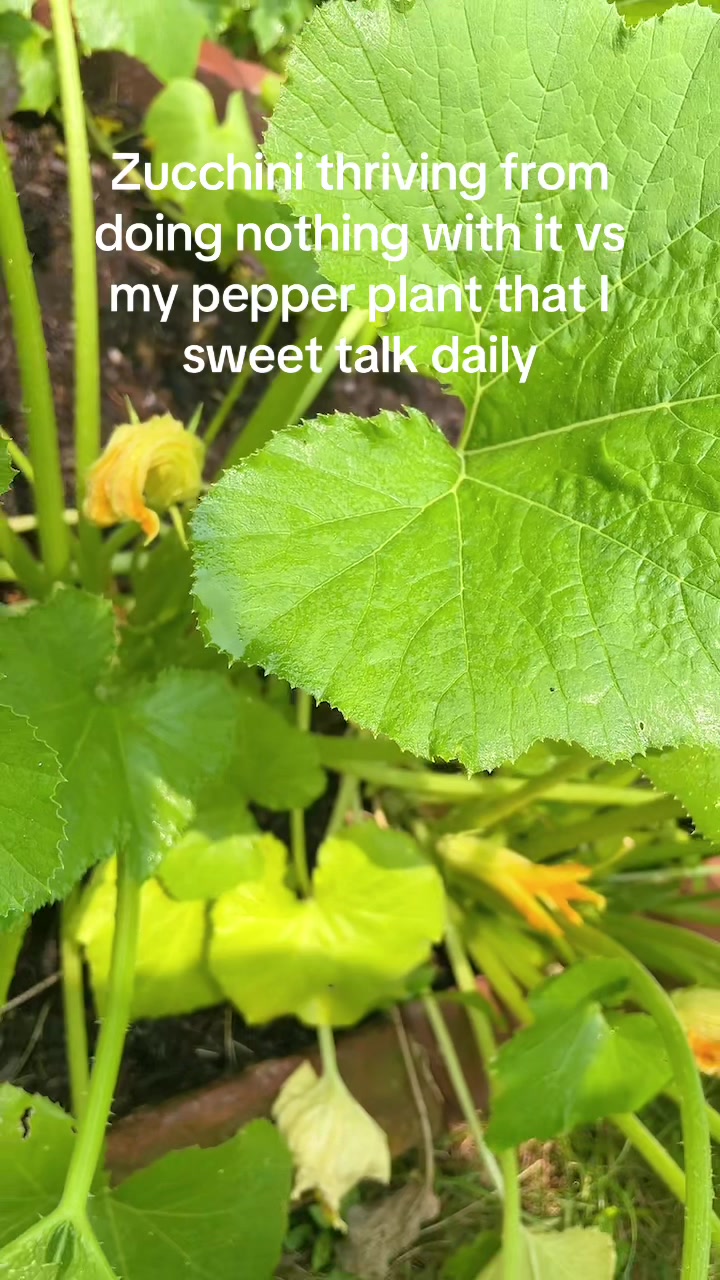@AJ_curious