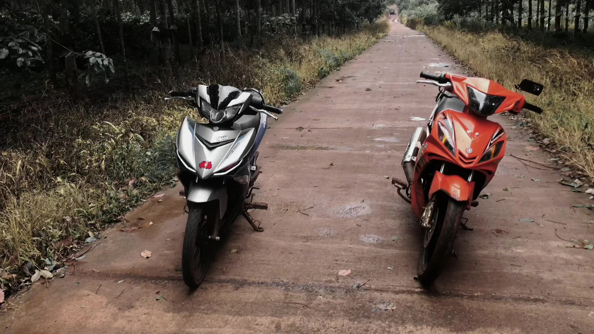 @Phi nhòn 🐿