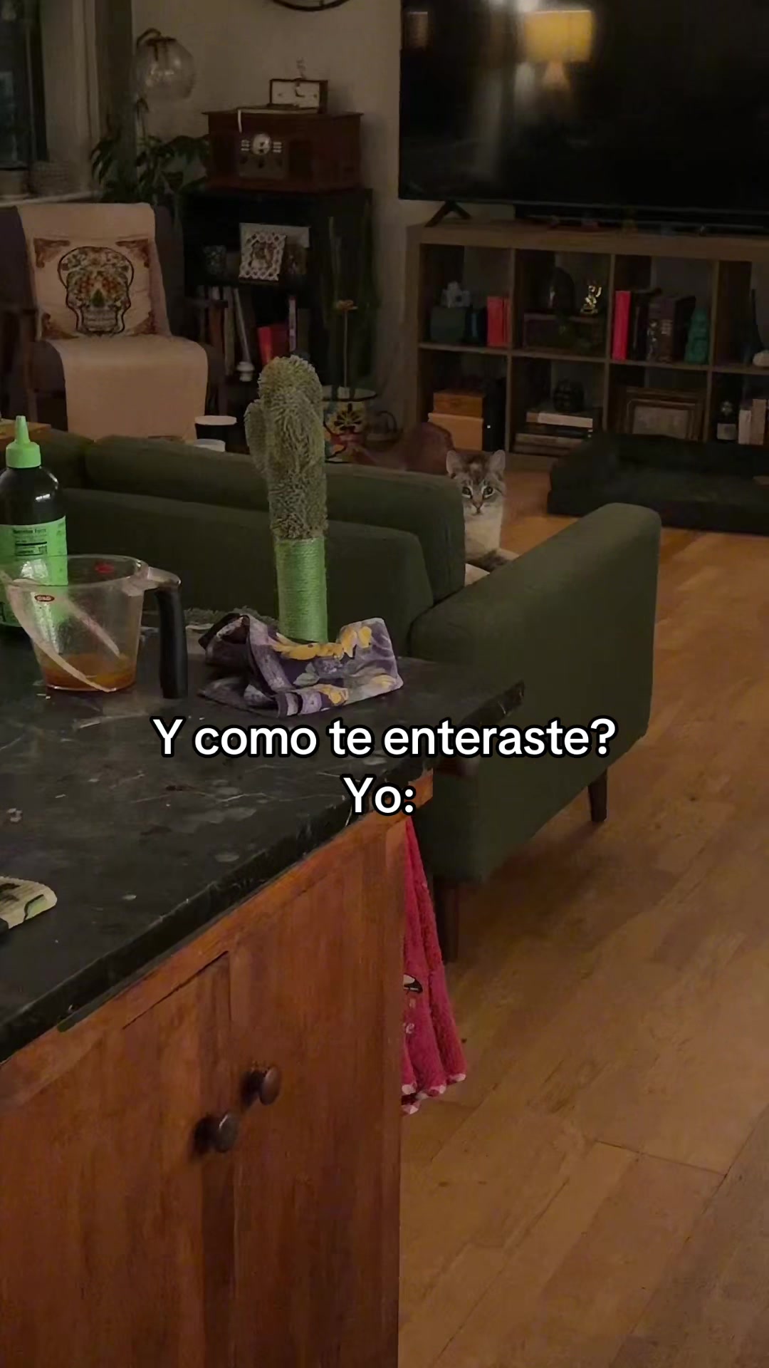 @chavelady