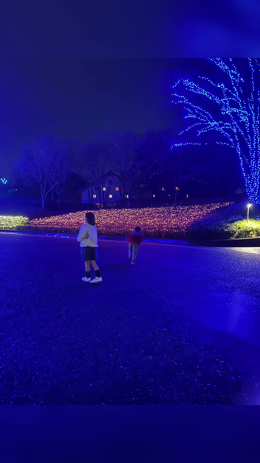 @🇯🇵🐻✨️めめたん✨️🦁🇯🇵