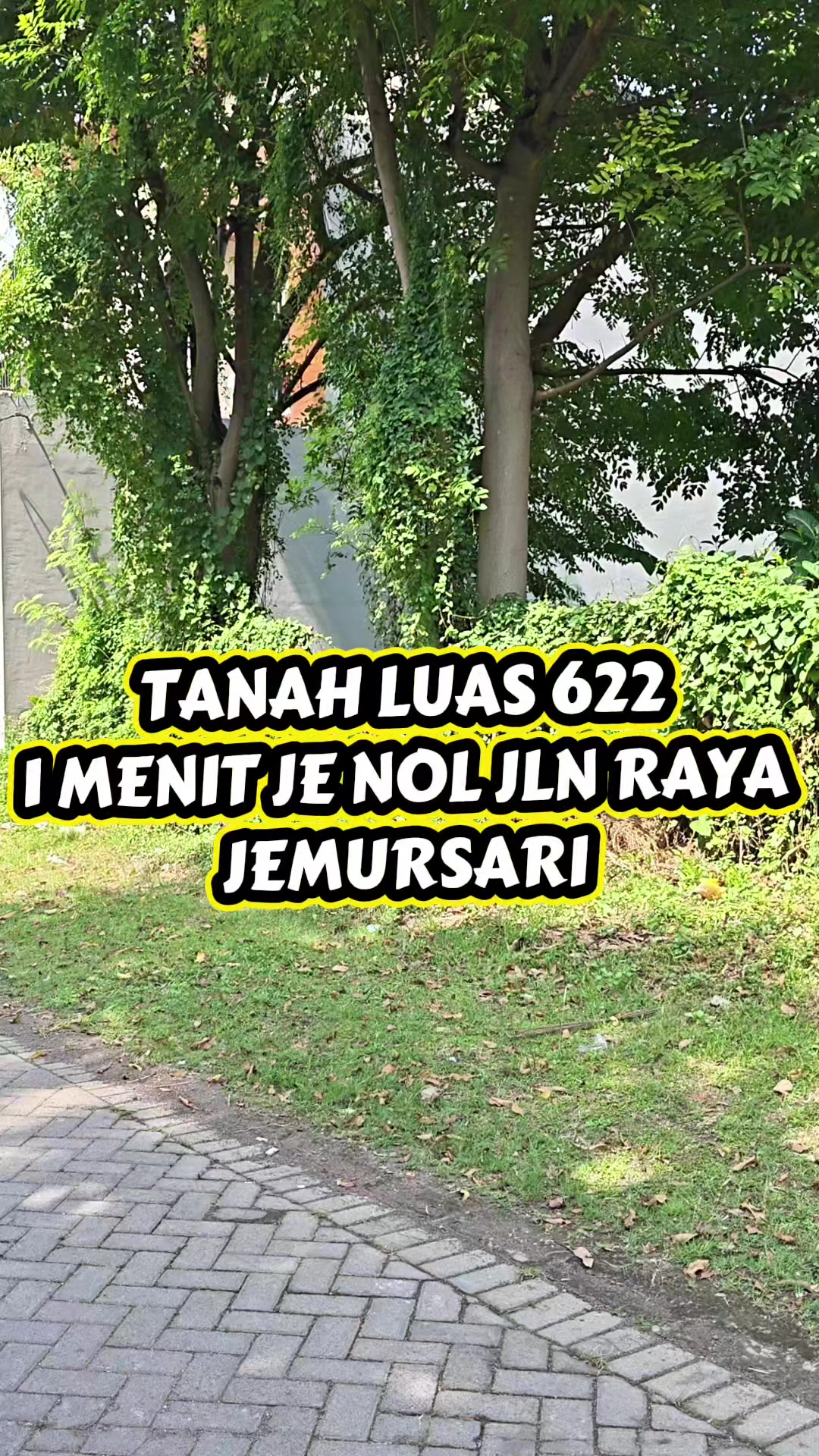 @LILY PROPERTY