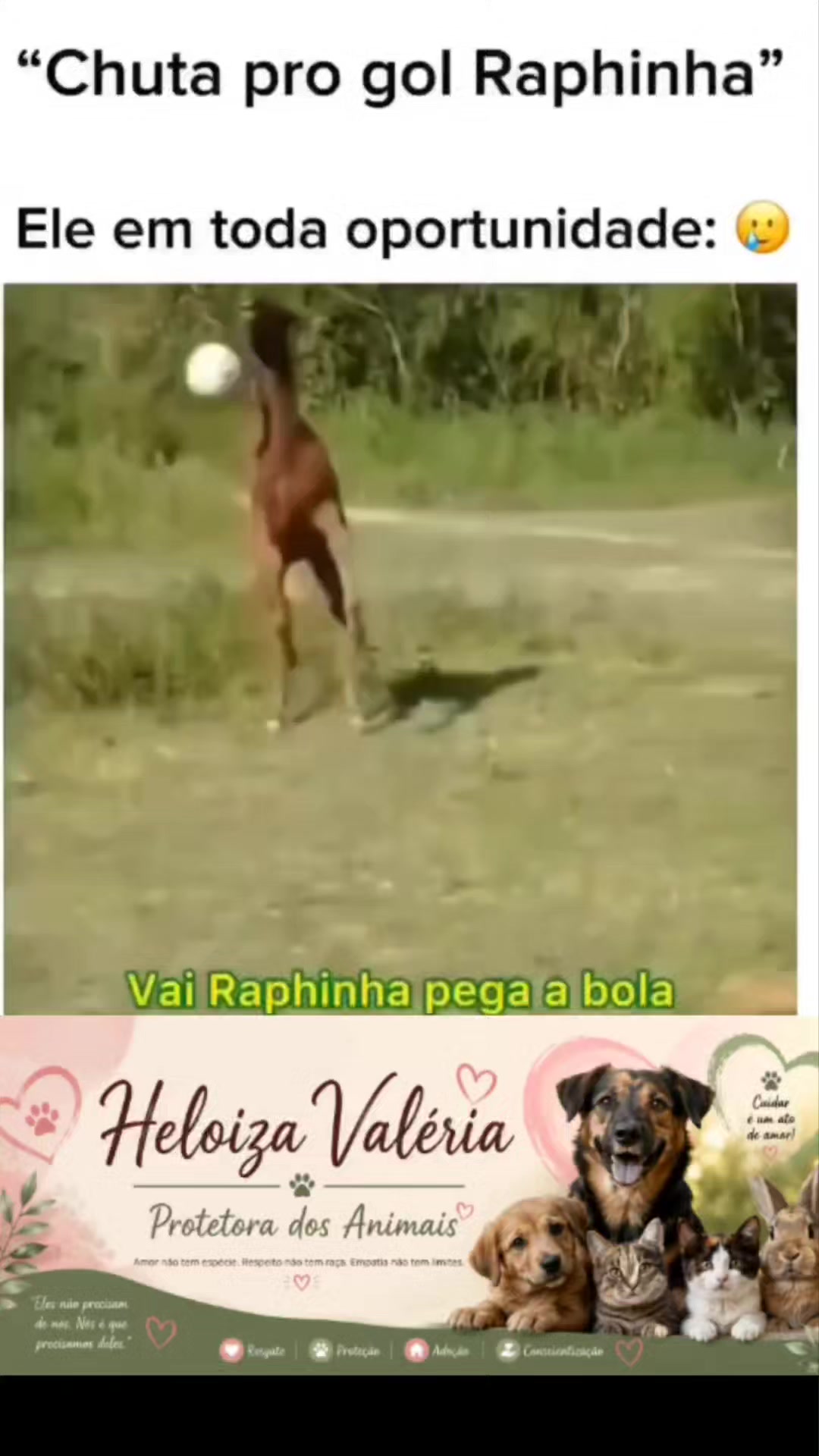@Heloiza Valeria
