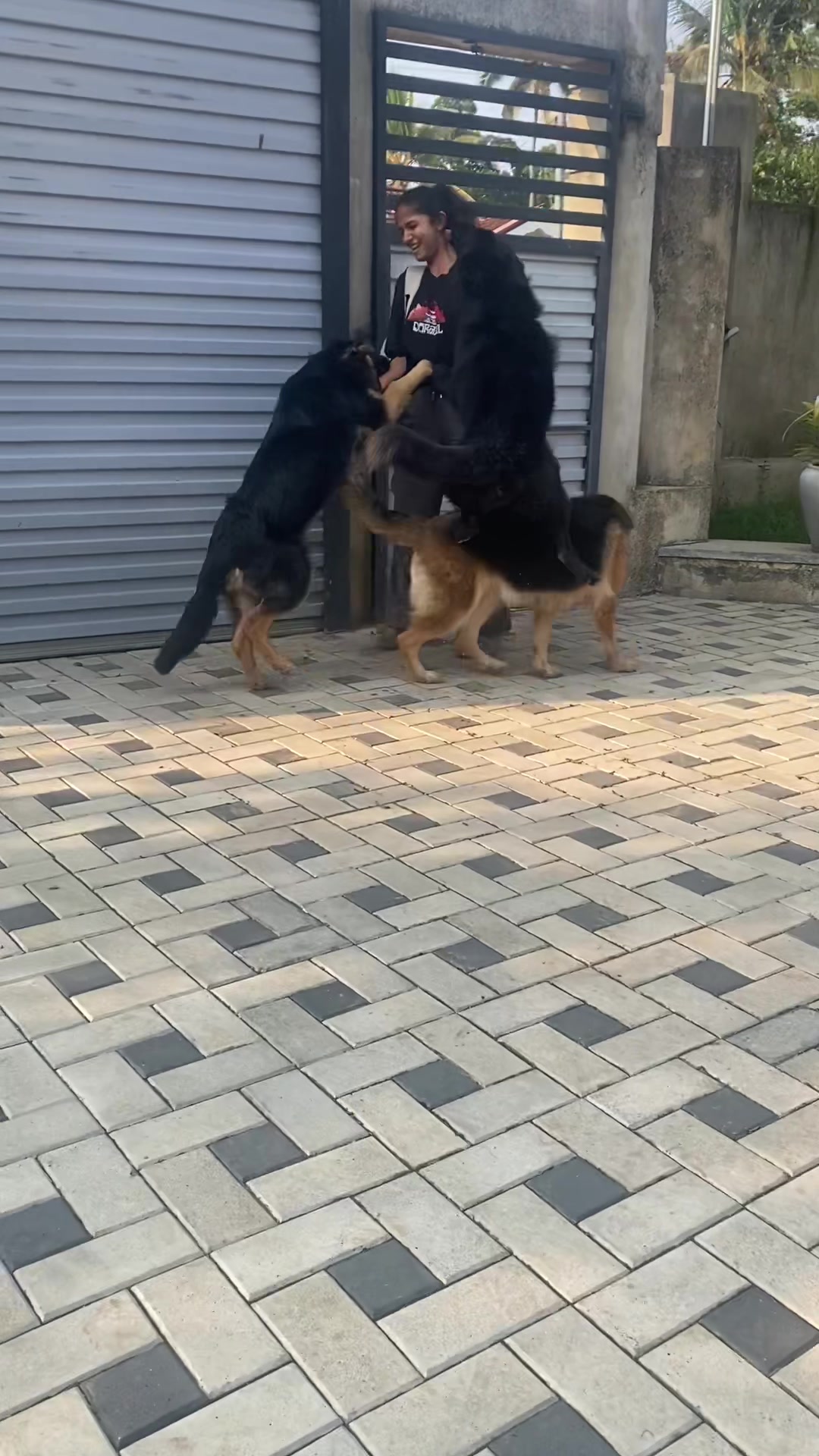 @Rover & Murphy & Bruno ❤️
