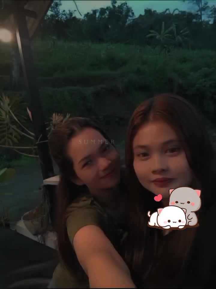 @DiMei
