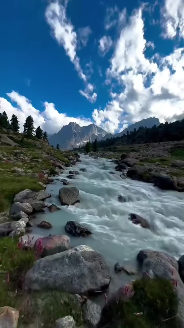 @Meera Maya