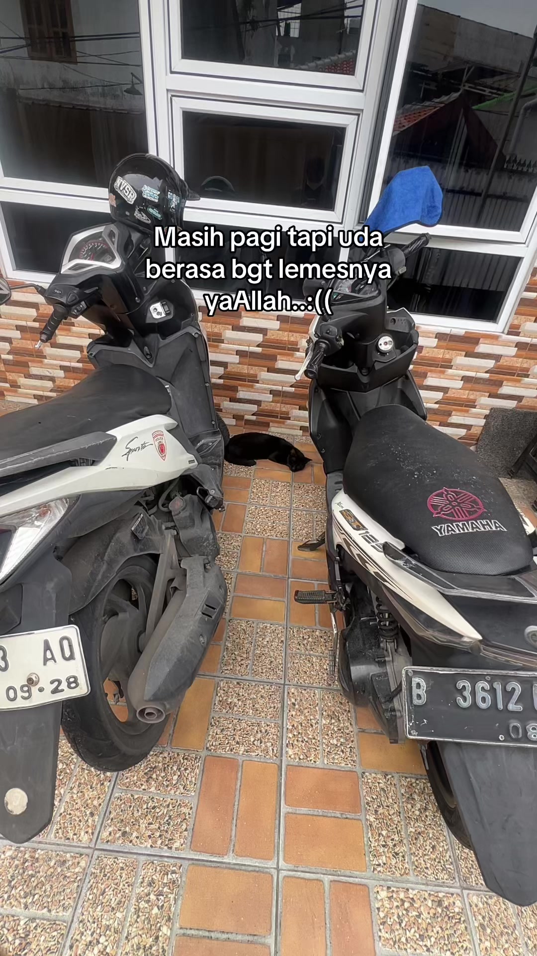 @Haqhaqcatsnfams