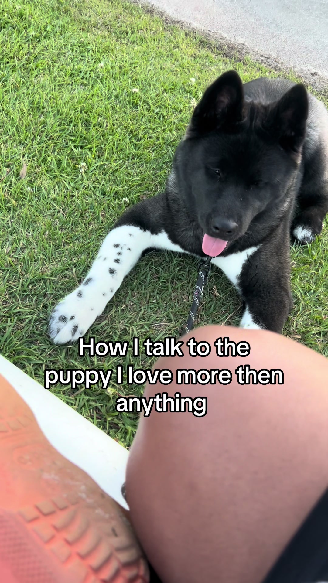 @tailsssss_
