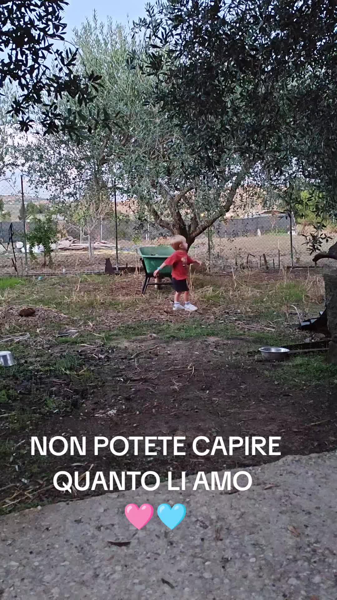 @pietrocanino