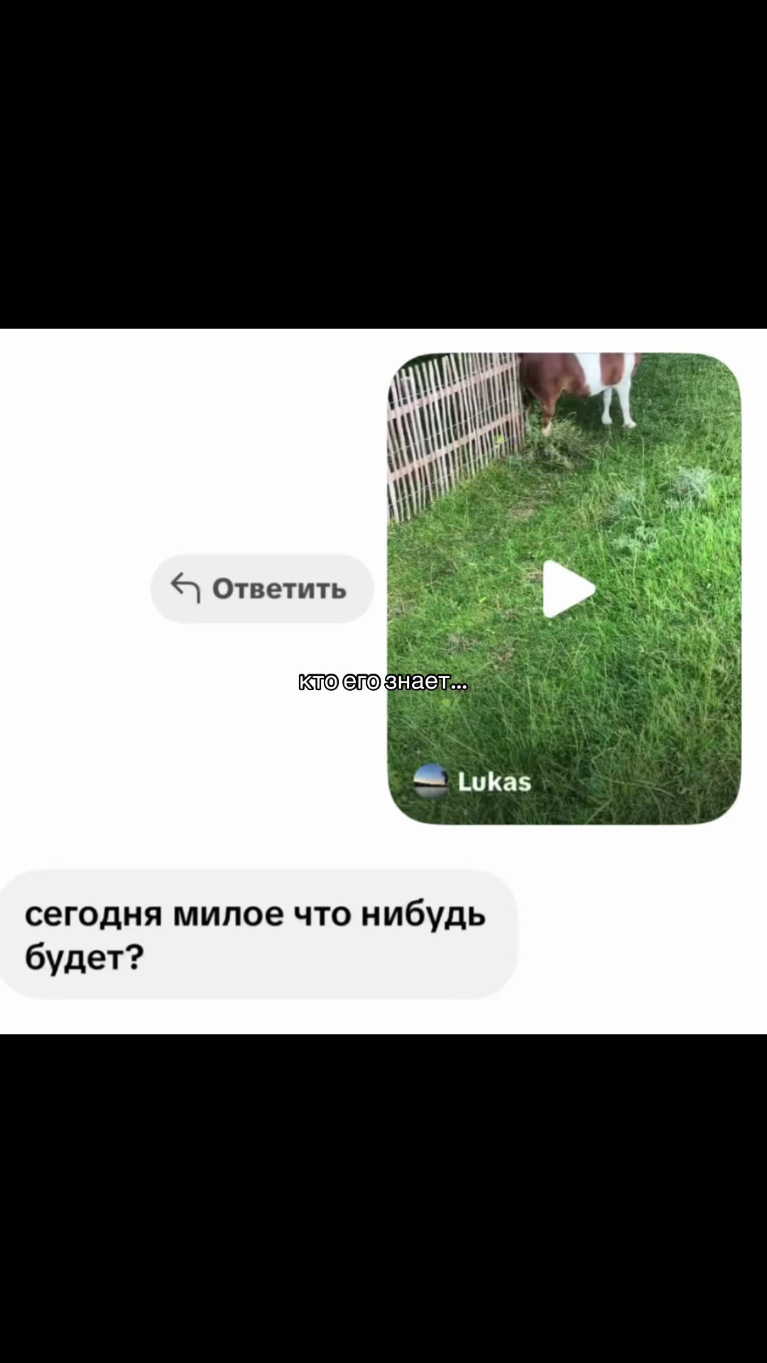 @𝐑𝐨𝐦𝐚𝐧𝐨𝐯𝐢𝐜𝐡