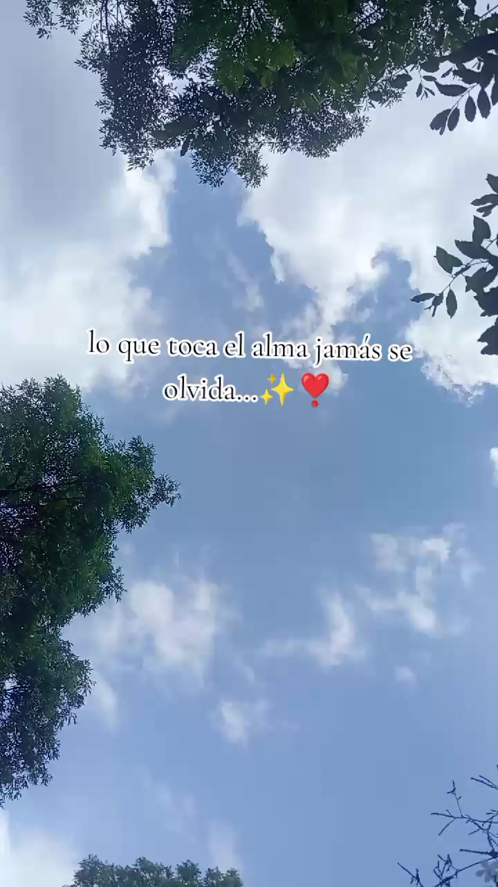 @paubonii