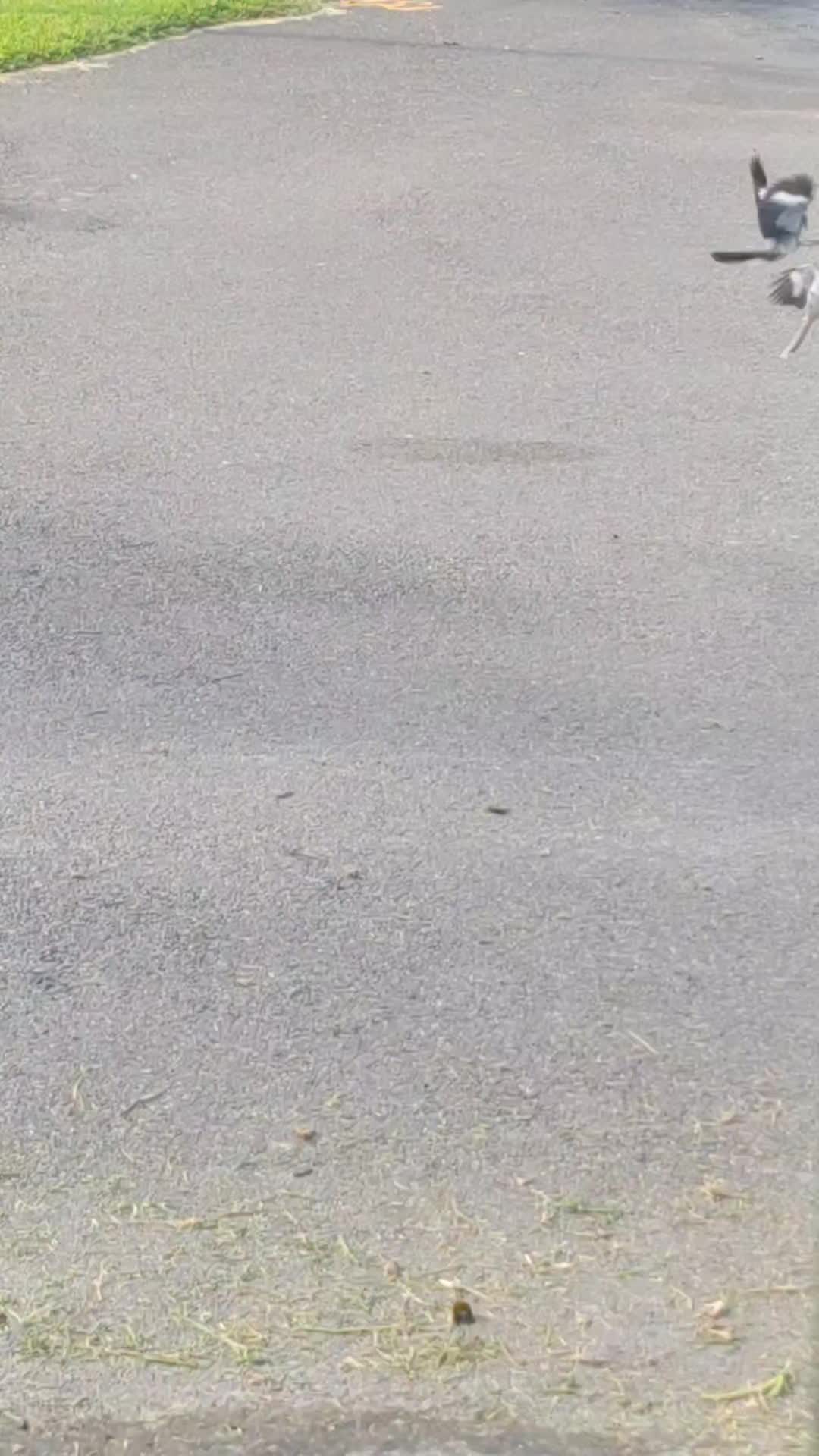 @Thecount_Adam