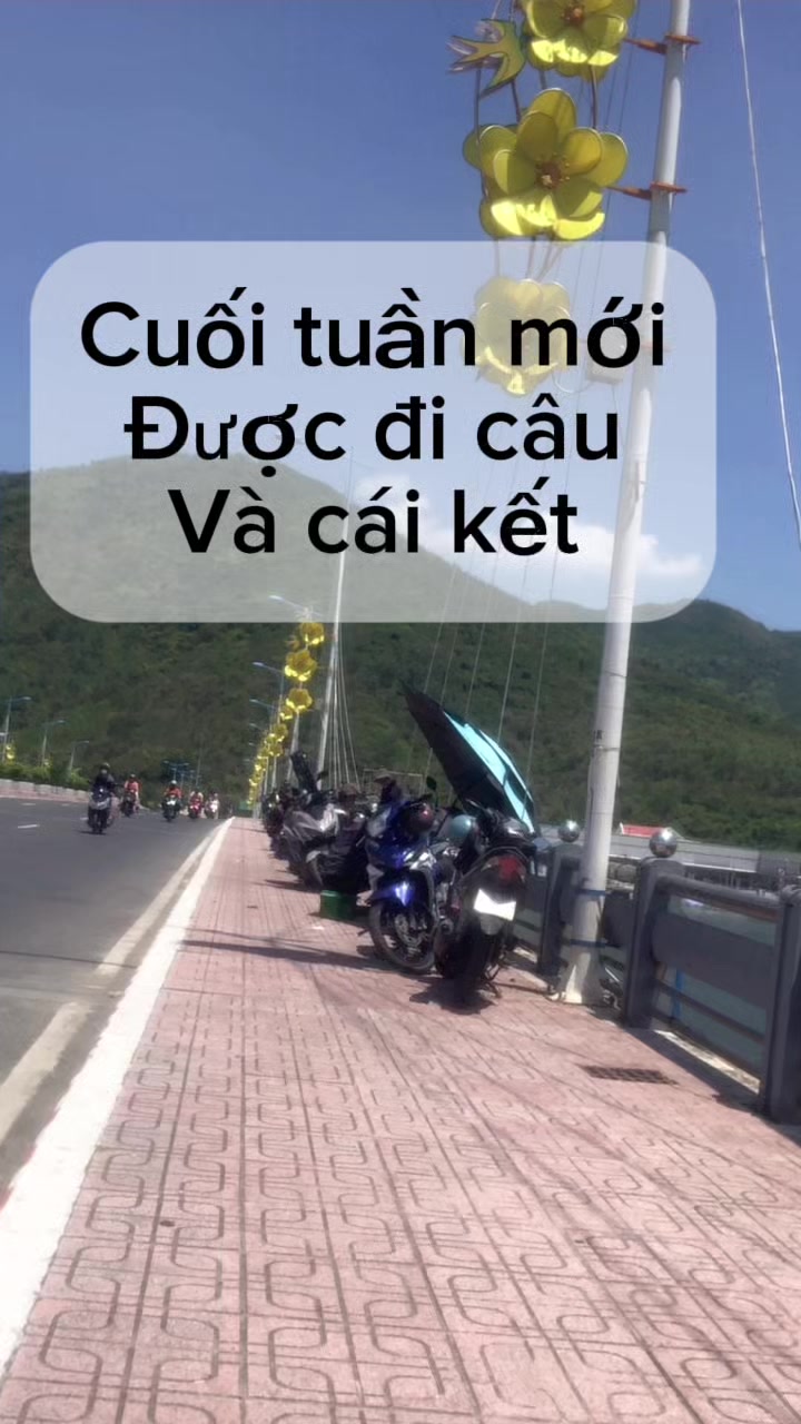 @c&acirc;u c&aacute; Nha Trang