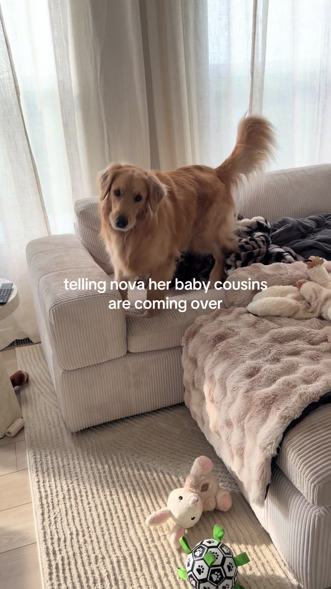 @novathegoldenn
