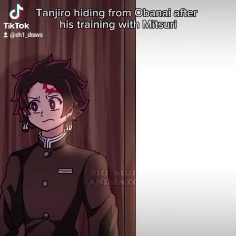 @SH1- Your artist/Animator
