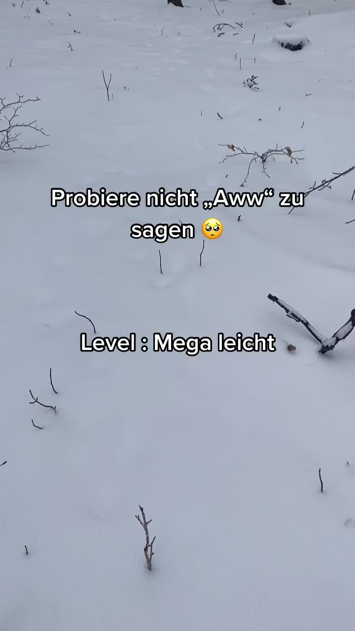 @ƙꪖꪹỉ᭢ꪖ 🐆🍒🎱