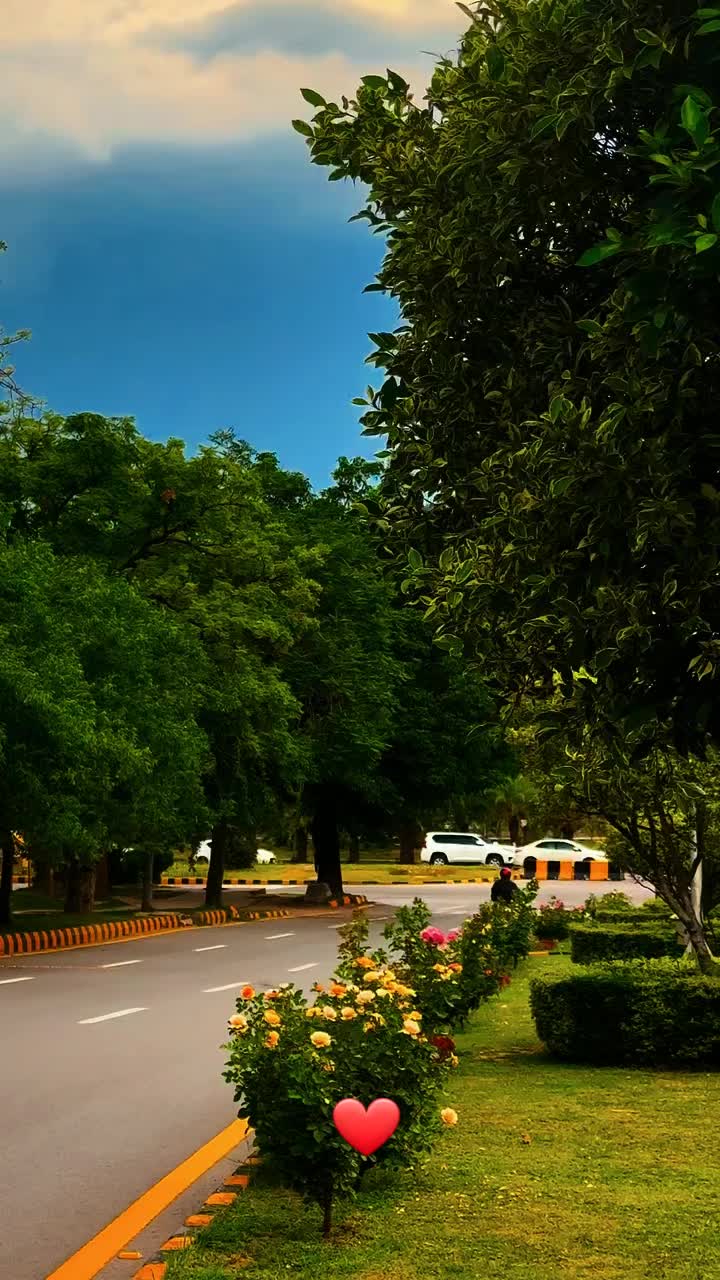 @Nature vibes