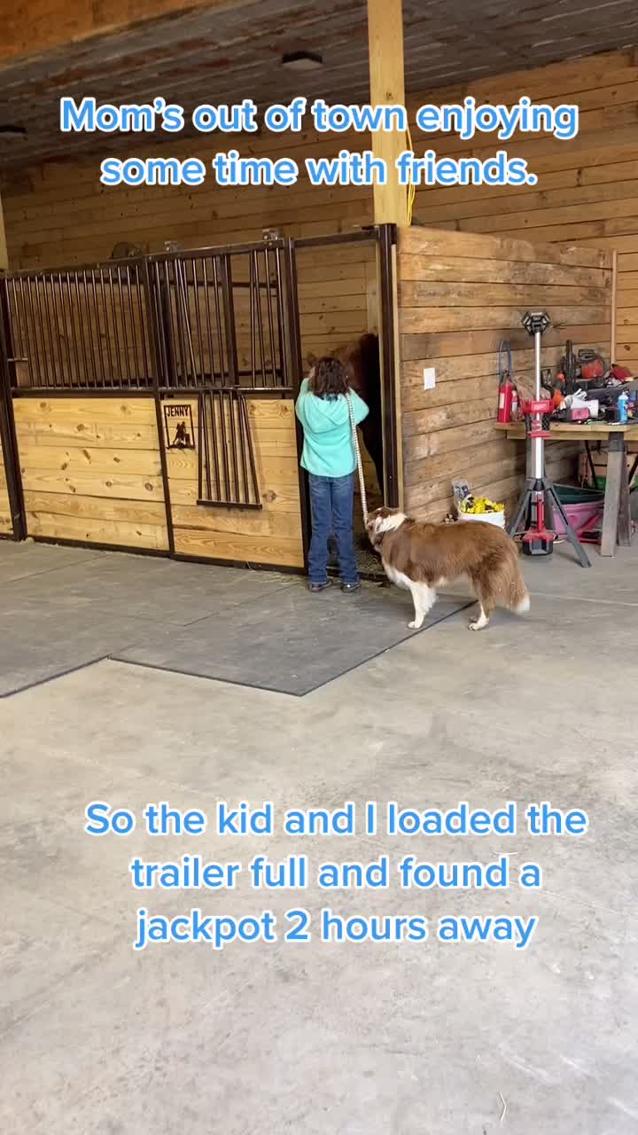 @Barrel racing dad
