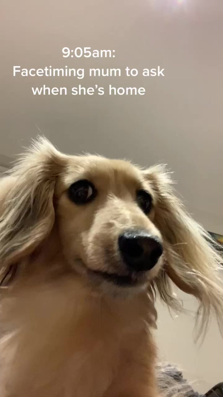 @Zarathesausage
