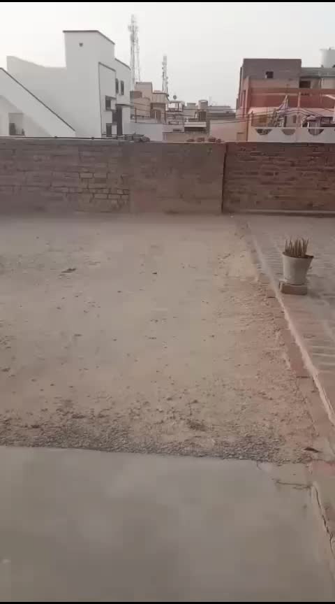 @kartik sharma