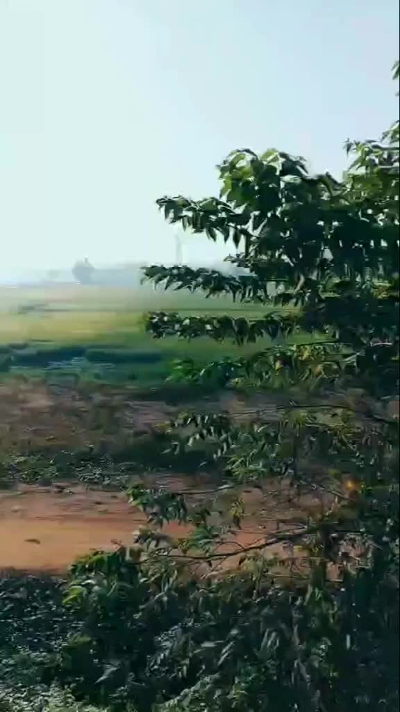 @prajeesha