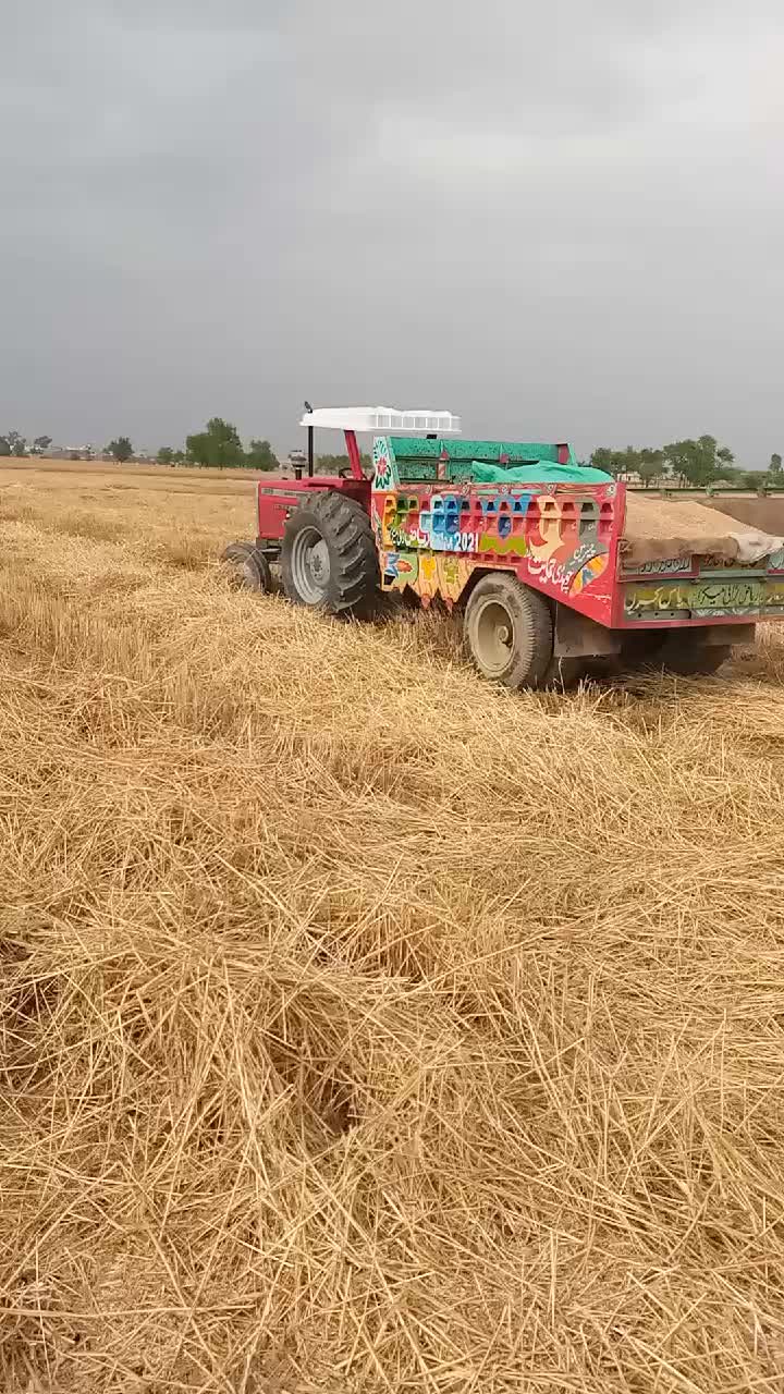 @Zaiلdar Aظhaر