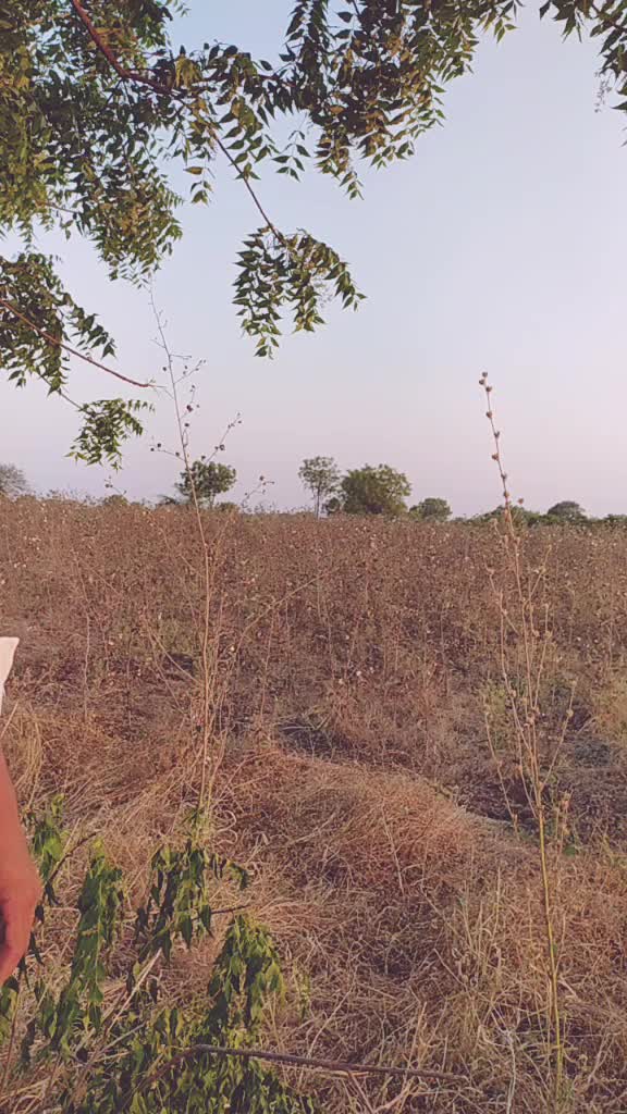 @dattu kale