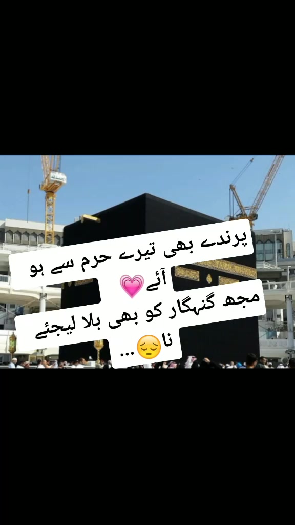 @Sheikh Awais