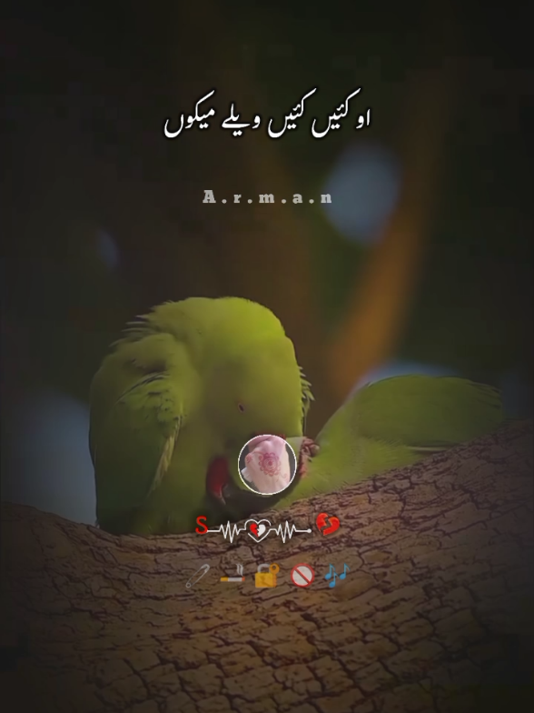 @🎭ارمان🎭