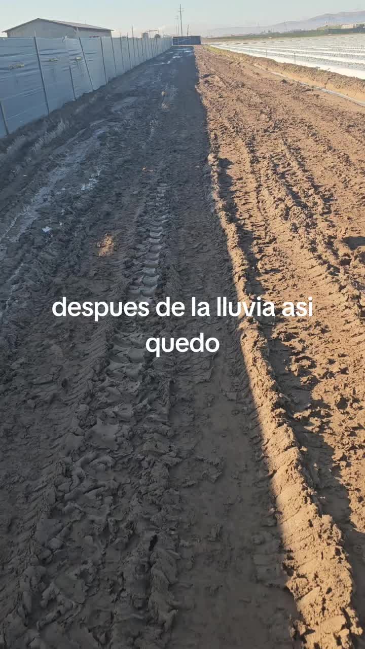 @🇲🇽🐦&zwj;⬛🪺VASQUEZ🚚🌪💎