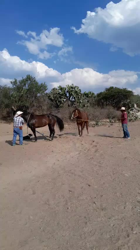 @ricardohurtado23