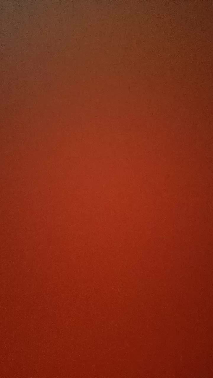 @bunny