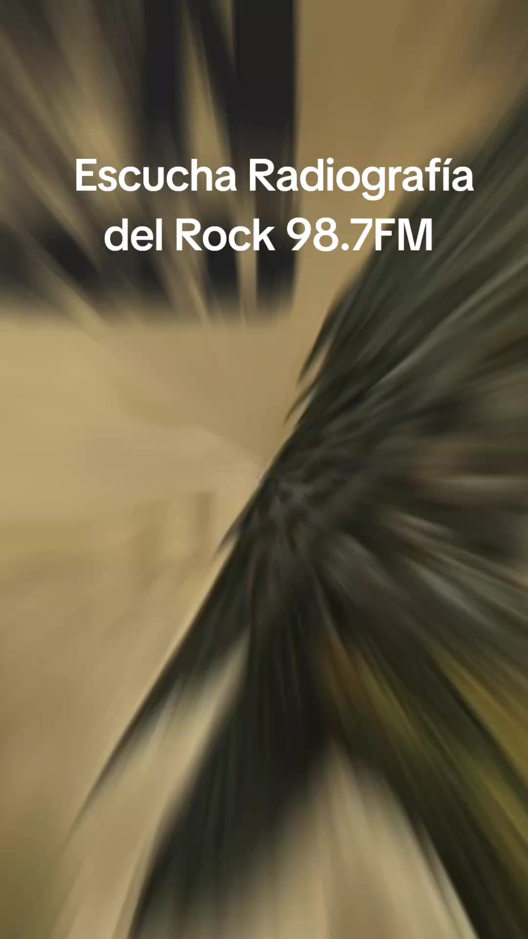 @Radiograf&iacute;a del Rock 98.7FM