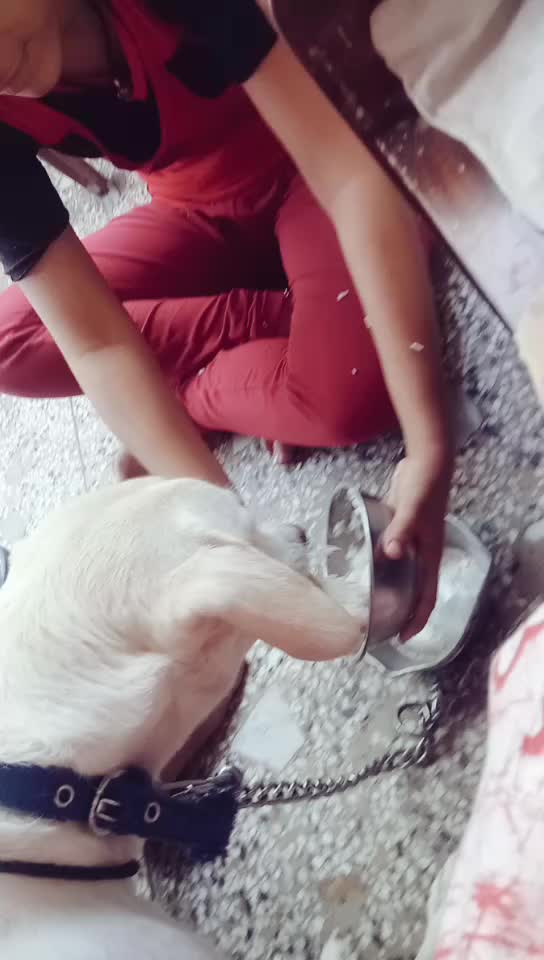 @Priti Makhija