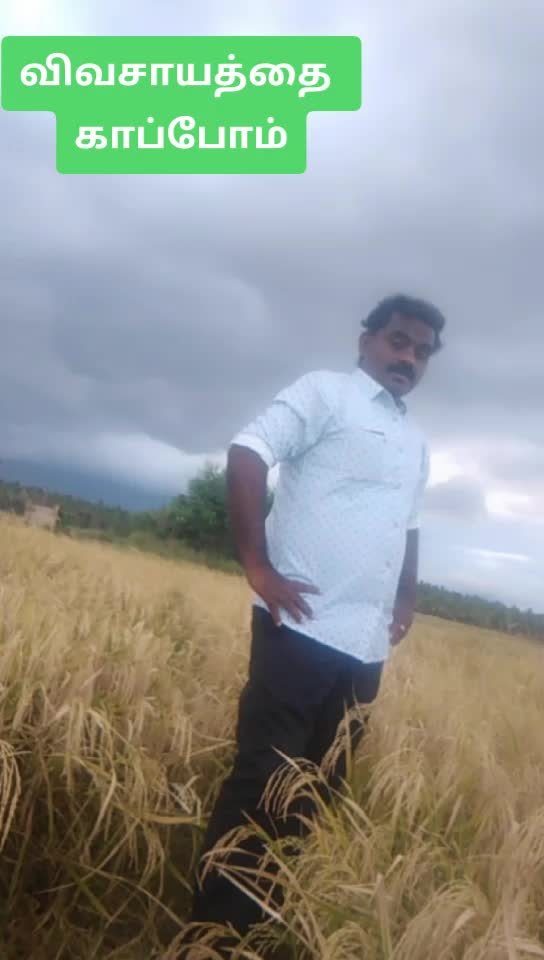 @nellai arunachalam