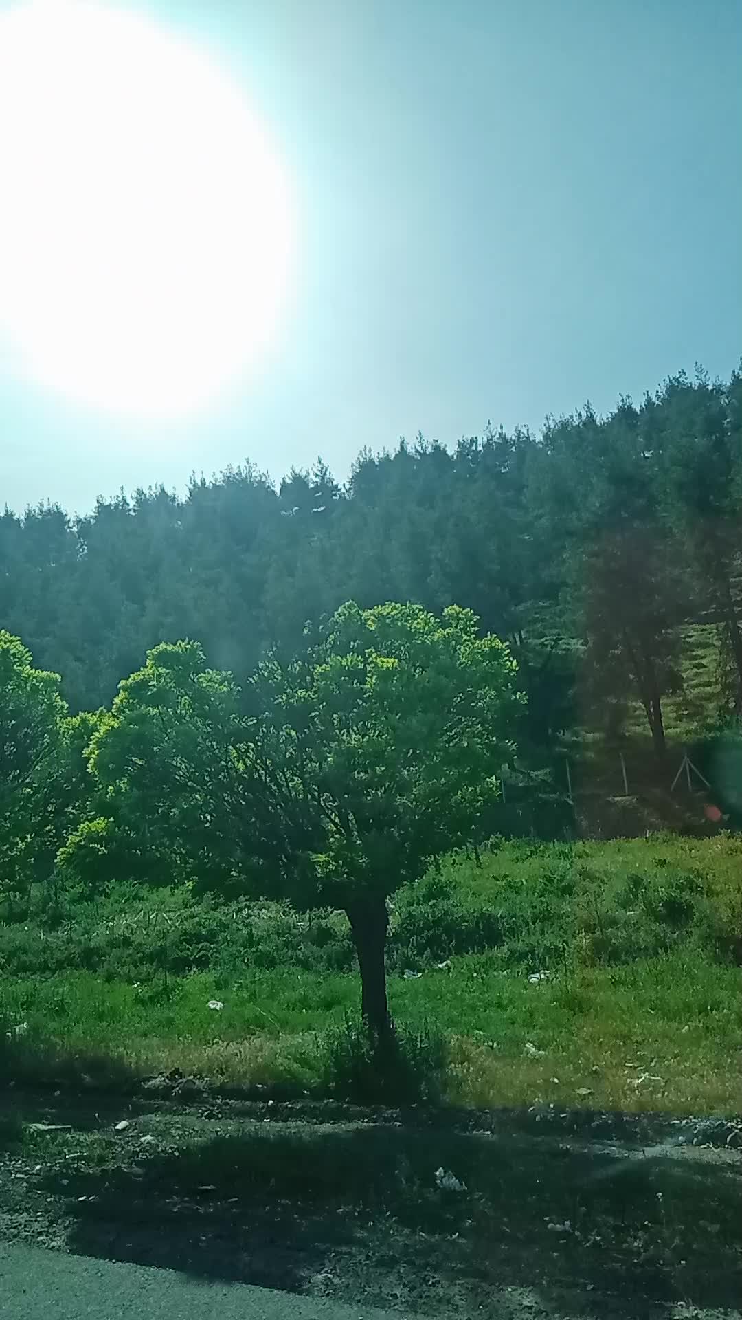 @yureksizim033