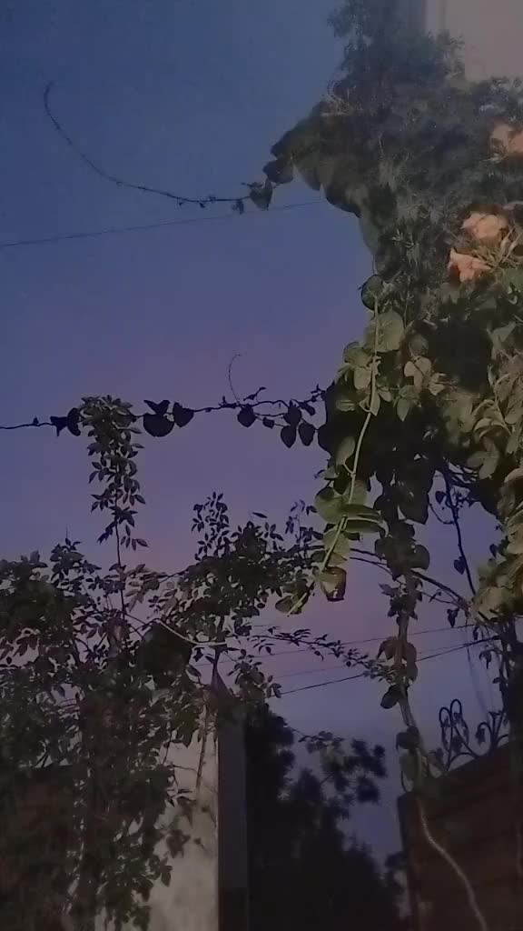 @Hadiawan89🇵🇰