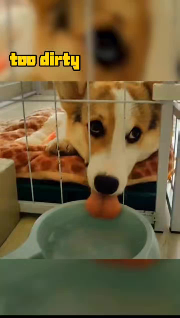 @donhfin
