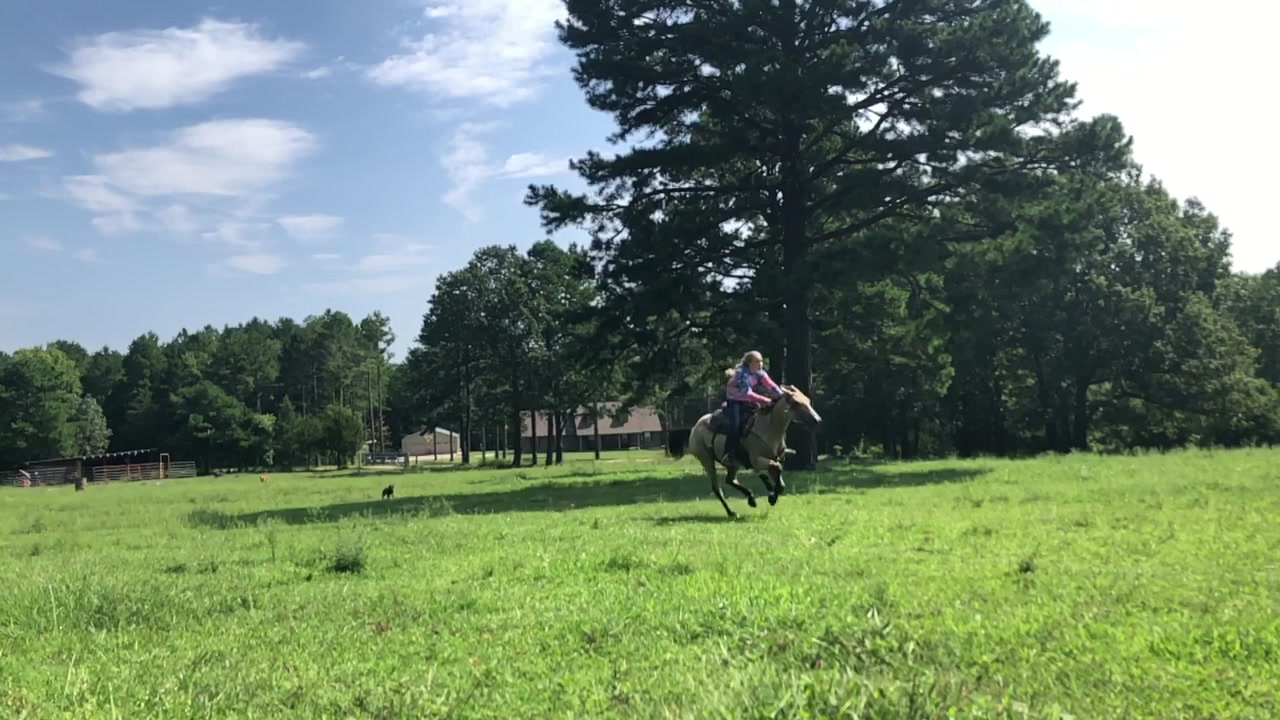 @My horse life❤️